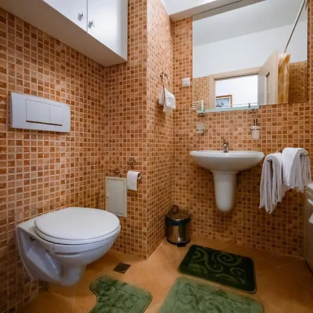 Apartment Mountain Dream Sinaia