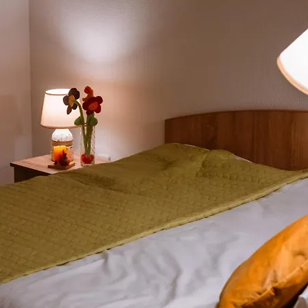 Mountain Dream Apartment Sinaia