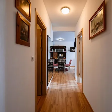 Apartment Mountain Dream Sinaia