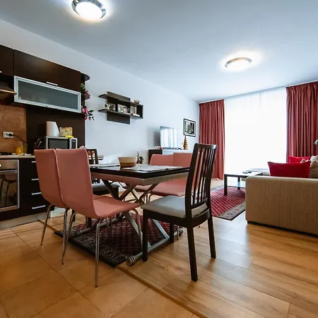 Apartment Mountain Dream Sinaia
